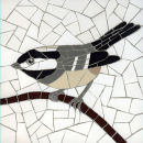 Coal Tit